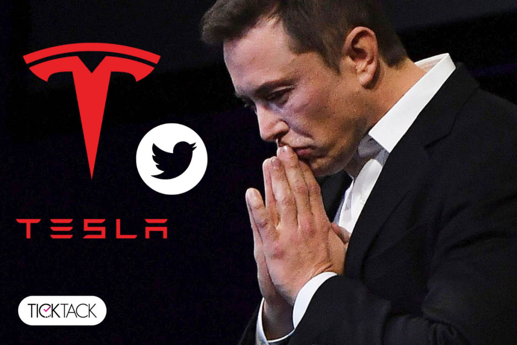 ایلان ماسک | تیک تاک گالری