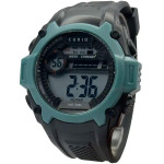 ساعت مچی مردانه اصل | برند کوریو | مدل C8108G-BG