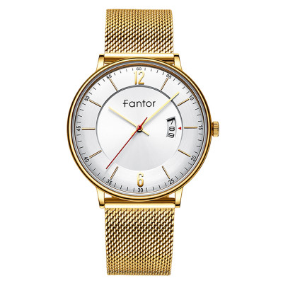 ساعت مچی مردانه اصل | برند فانتور | مدل WF1024G04