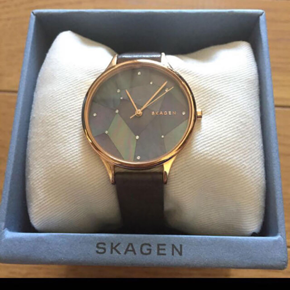 Skagen skw2390 hotsell