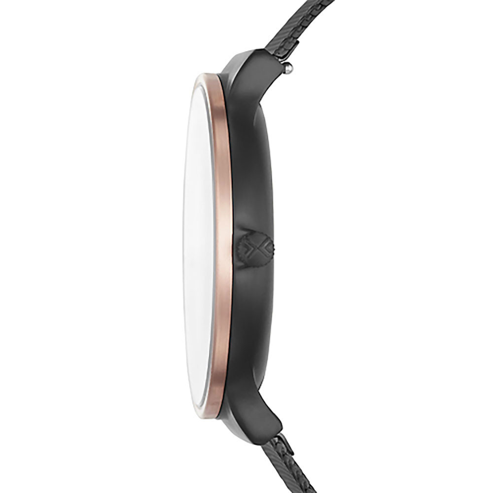 ساعت مچی مردانه اصل | برند اسکاگن | مدل SKW6296