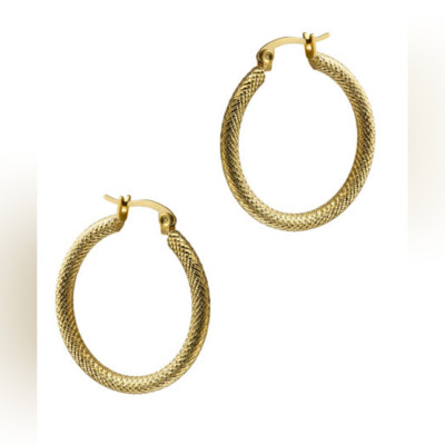 گوشواره زنانه اصل | برند تایم فورس | مدل TS5147PY